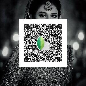 Snapseed QR Looks