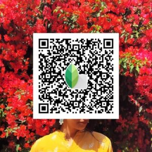 Lightroom Presets Snapseed QR Codes