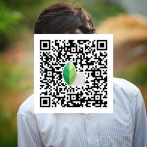 Snapseed Background QR Codes