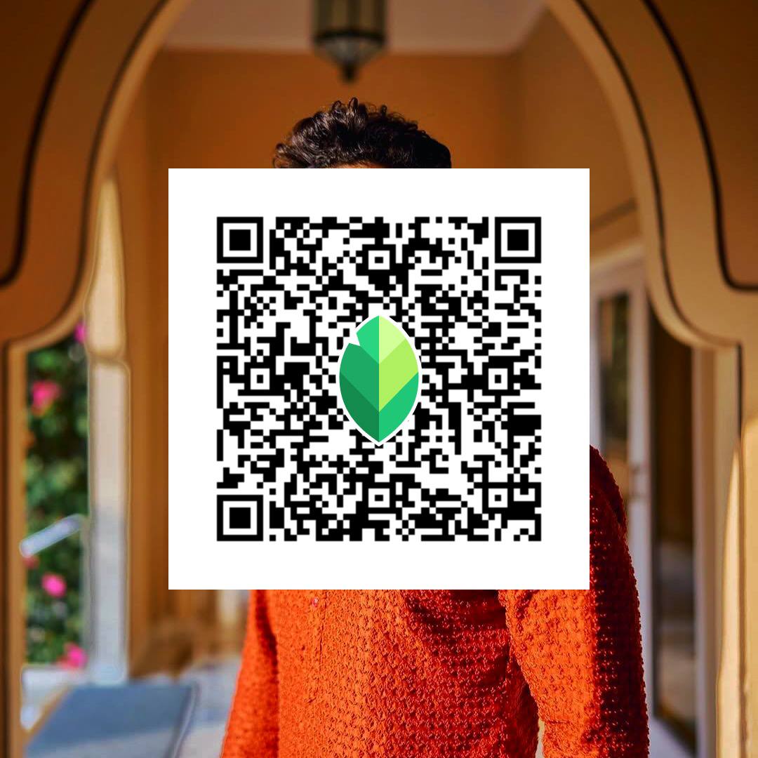 Snapseed QR Codes Presets