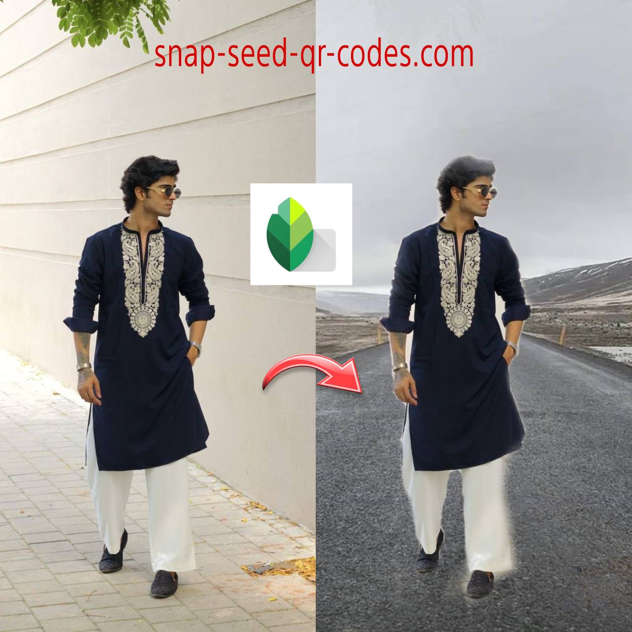 Background Change in Snapseed